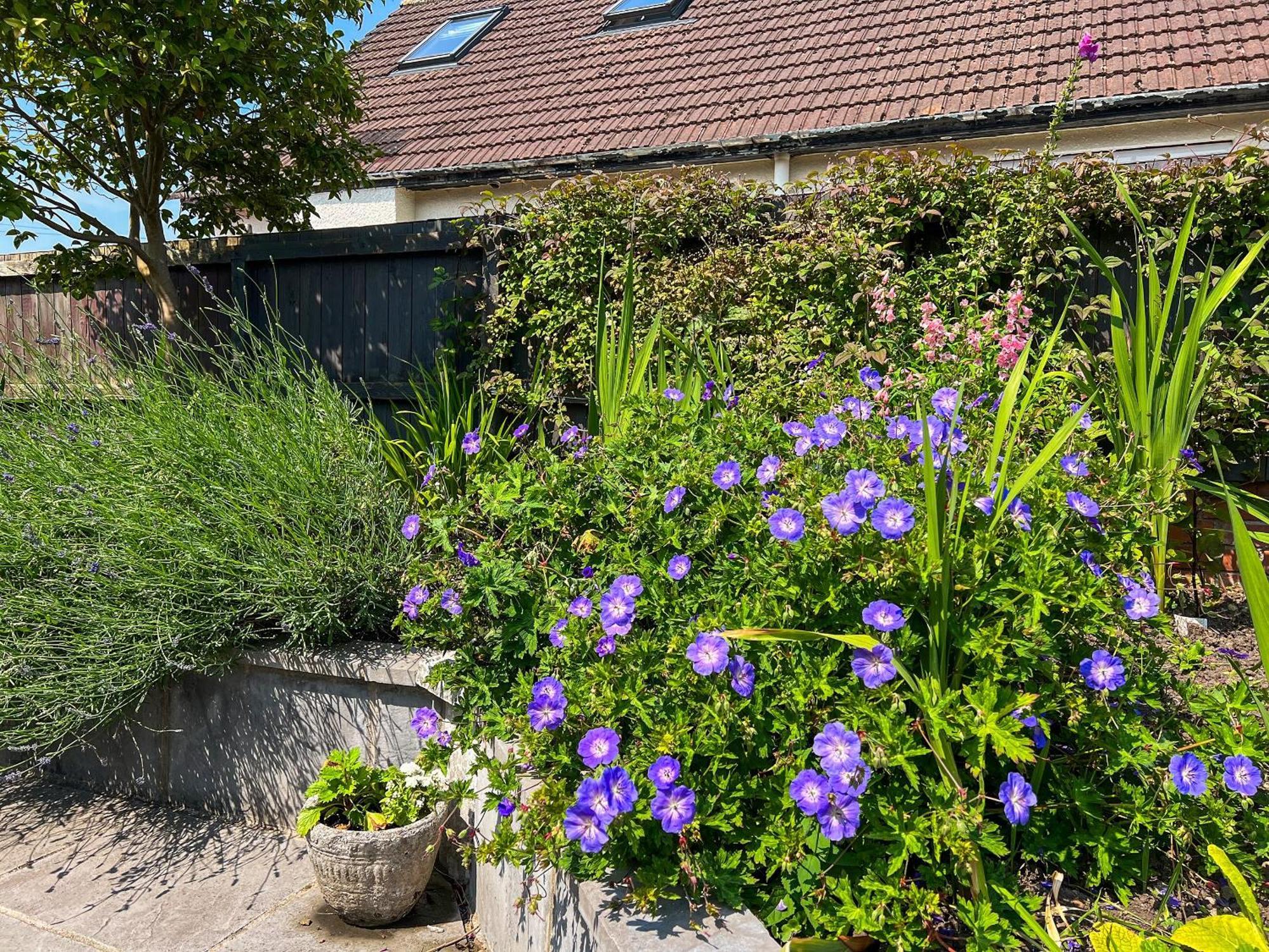 Cwtch Vakantiehuis